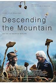 Descending the Mountain (2021)