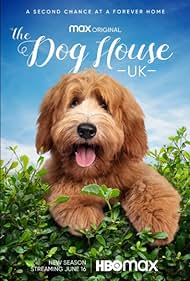 The Dog House (2020)